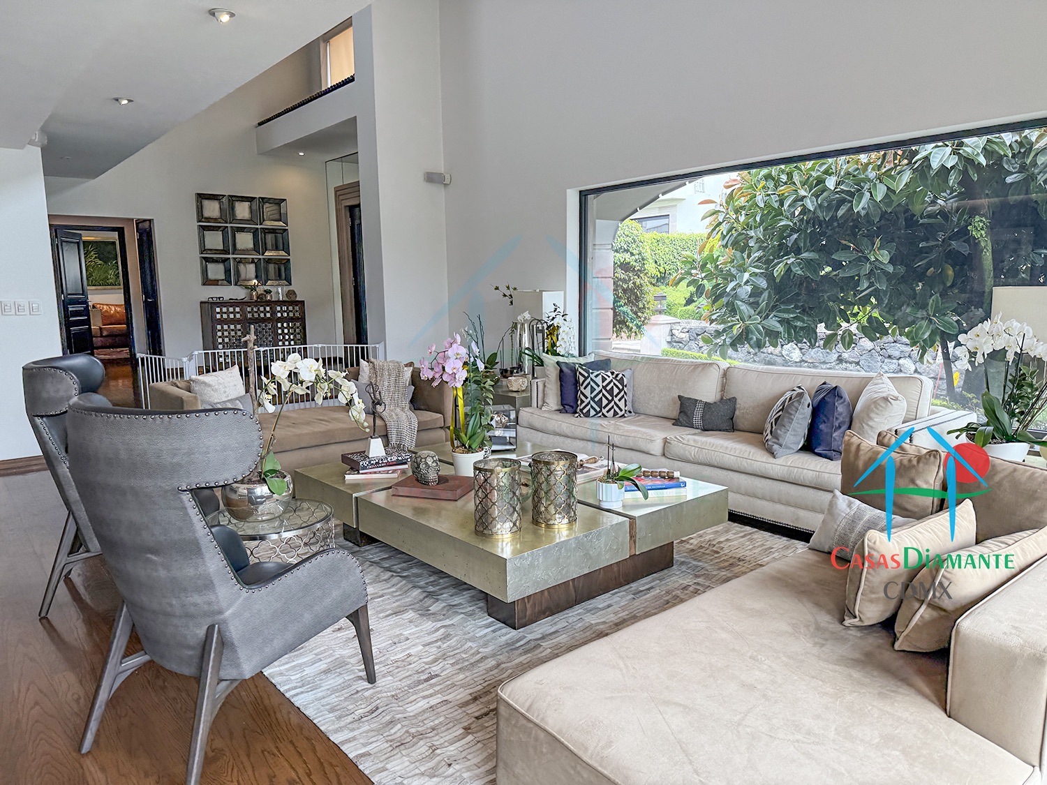 Jardines del Pedregal Casa Árbol B - Sala 5